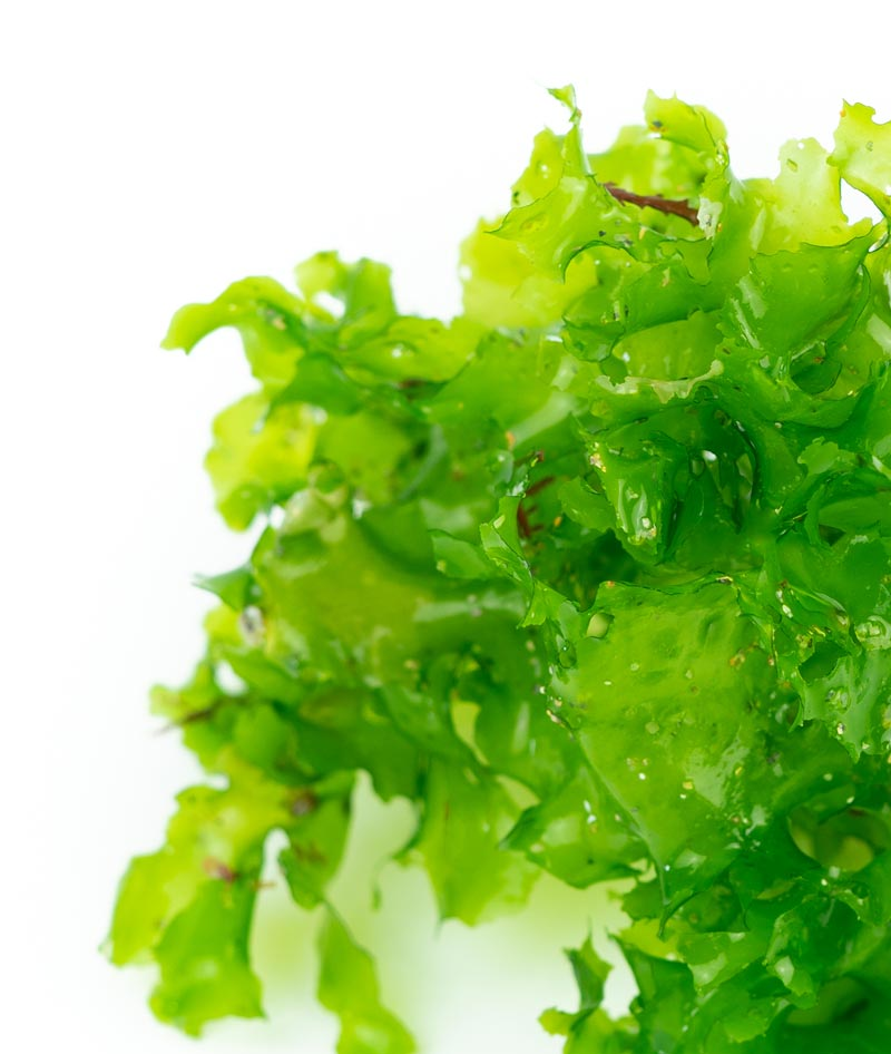 What are different types of emulsifiers?